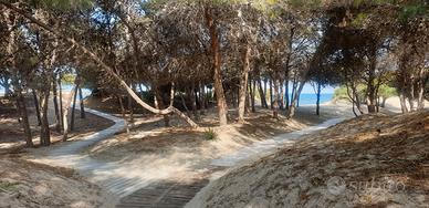 Gallipoli Rivabella sul mare