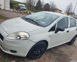 Fiat Punto Evo Punto Evo 1.3 Mjt 75 CV DPF 5 porte