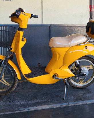 Scooterino elettrico 