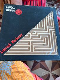 gioco di abilità