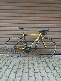 FOCUS CAYO - TG.M - SHIMANO ULTEGRA di2 11v