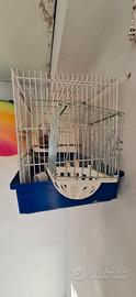 gabbia canarino