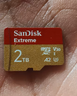 micro SD Sandisk Extreme 2Tb nuova 