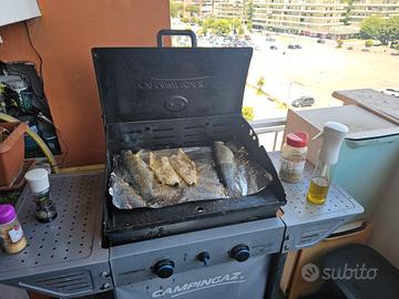 barbecue griglia
