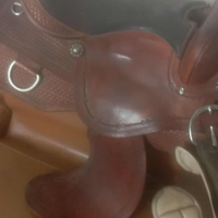 Sella americana pool's