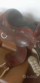 Sella americana pool's