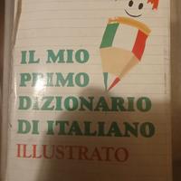 dizionario 
