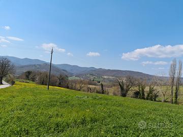 Terreni agricoli Loc. Carboncione Anghiari(AR)