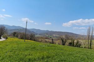 Terreni agricoli Loc. Carboncione Anghiari(AR)