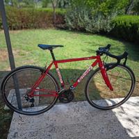 Bici gravel
