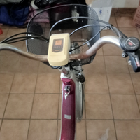 Bici elettrica