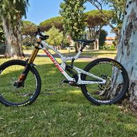 Santa Cruz V10