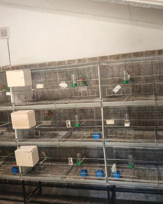 Batteria inseparabili