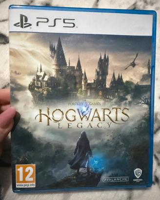 Gioco Hogwart legacy