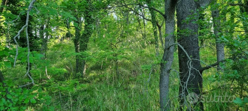 Terreno di 1800 m² a Gemmano - Vista 5