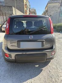 Panda 2022 city life tagliandata