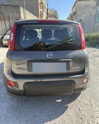 Panda 2022 city life tagliandata