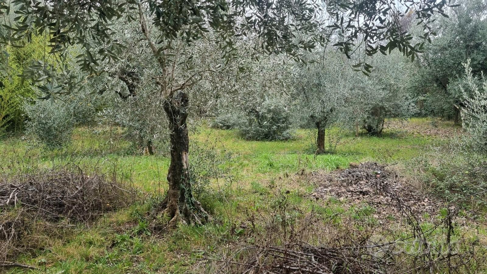 Terenno montecompatri - Vista 3
