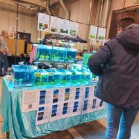 Pesci e invertebrati questo weekend