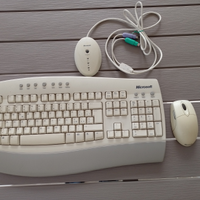 Tastiera + mouse wireless per pc