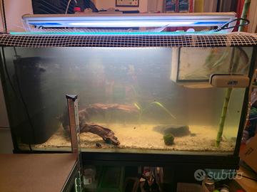 Acquario 100L Completo con Mobiletto e Luce