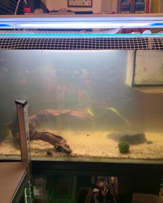 Acquario 100L Completo con Mobiletto e Luce