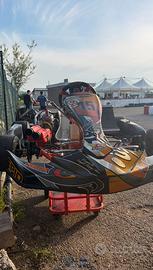 Kart Kz 125 Intrepid Raptor