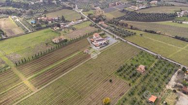 TER. AGRICOLO A FRASCATI