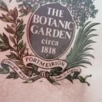 The botanic garden