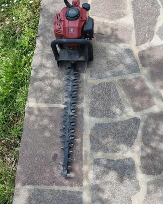 taglia siepe a scoppio 2t misciela