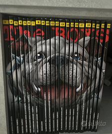 The boys ennis gazzetta completa