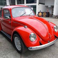 MAGGIOLINO VETRO PIATTO ‘68