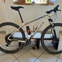 Specialized stumpjumper 