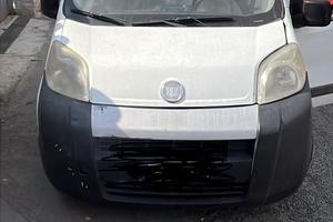 Fiorino