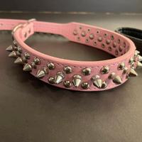 Collare borchie e guinzaglio con catena