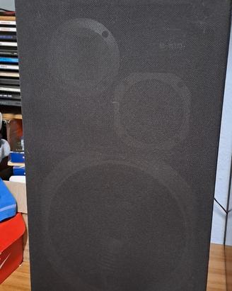 Diffusori Pioneer