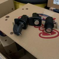 Sertatura panda 1999