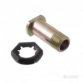 Perno fissaggio leva Cagiva Elefant Mito Raptor - 