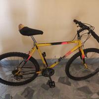 Bicicletta mountain-bike 26