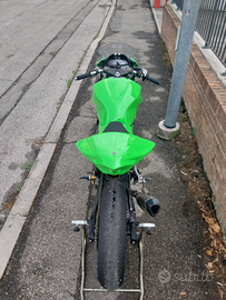 Ninja 300