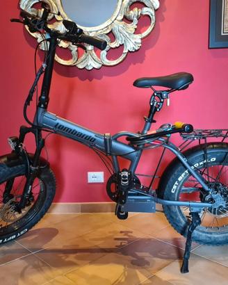 Bicicletta pieghevole pedalata assistita Lombardo