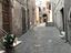 Immagine 11