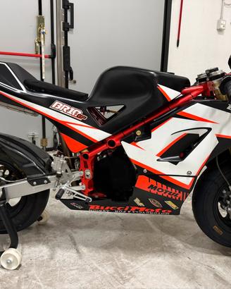 Bucci br10 solo telaio