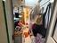 Immagine 22