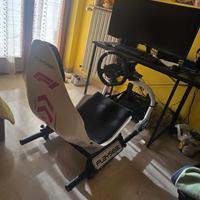 simulatore di guida. Postazione più volante