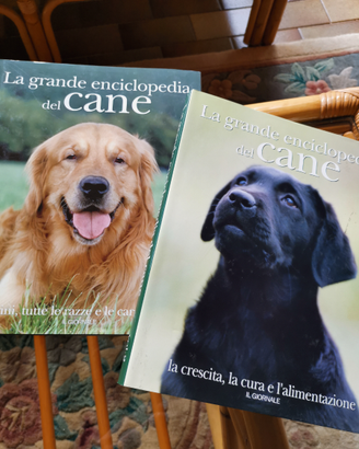 Cani. Gatti. Animali. Libri