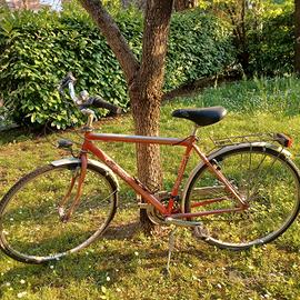 CICLOPIAVE BICI UOMO 