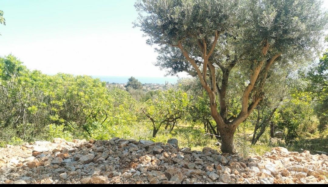 Terreno zona Rimed - View 2