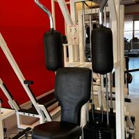 rowing torso technogym