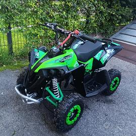 Nuovo mini quad 50 renegade ruote 6 verde